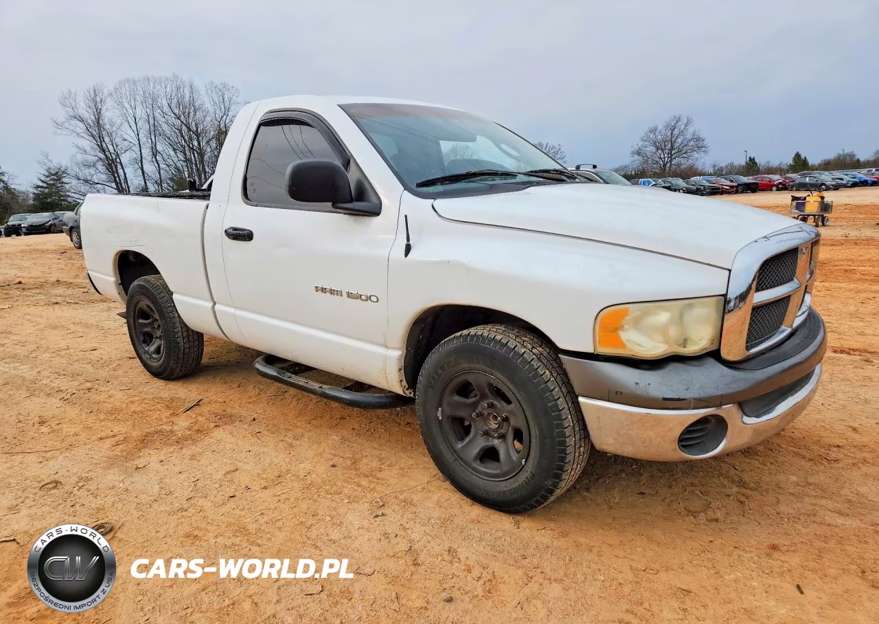 2002 Dodge Ram 1500 VIN:1D7HA16K62J219062 - 4
