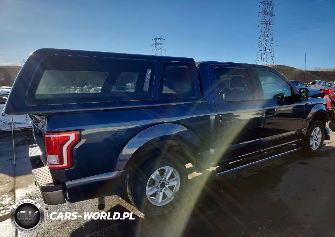 2016 Ford F150 Supercrew VIN:1FTEW1C89GFA74262 - 3