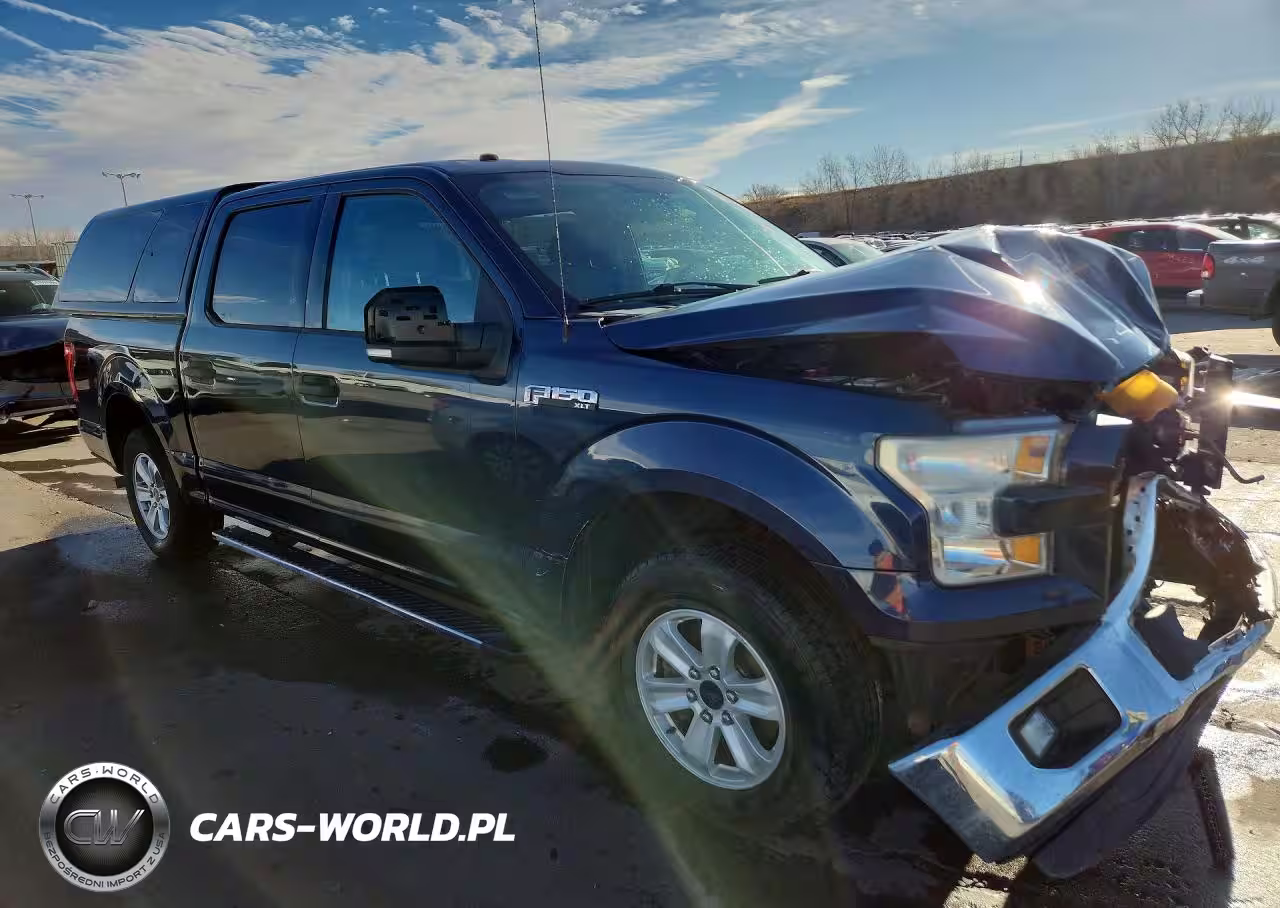 2016 Ford F150 Supercrew VIN:1FTEW1C89GFA74262 - 4