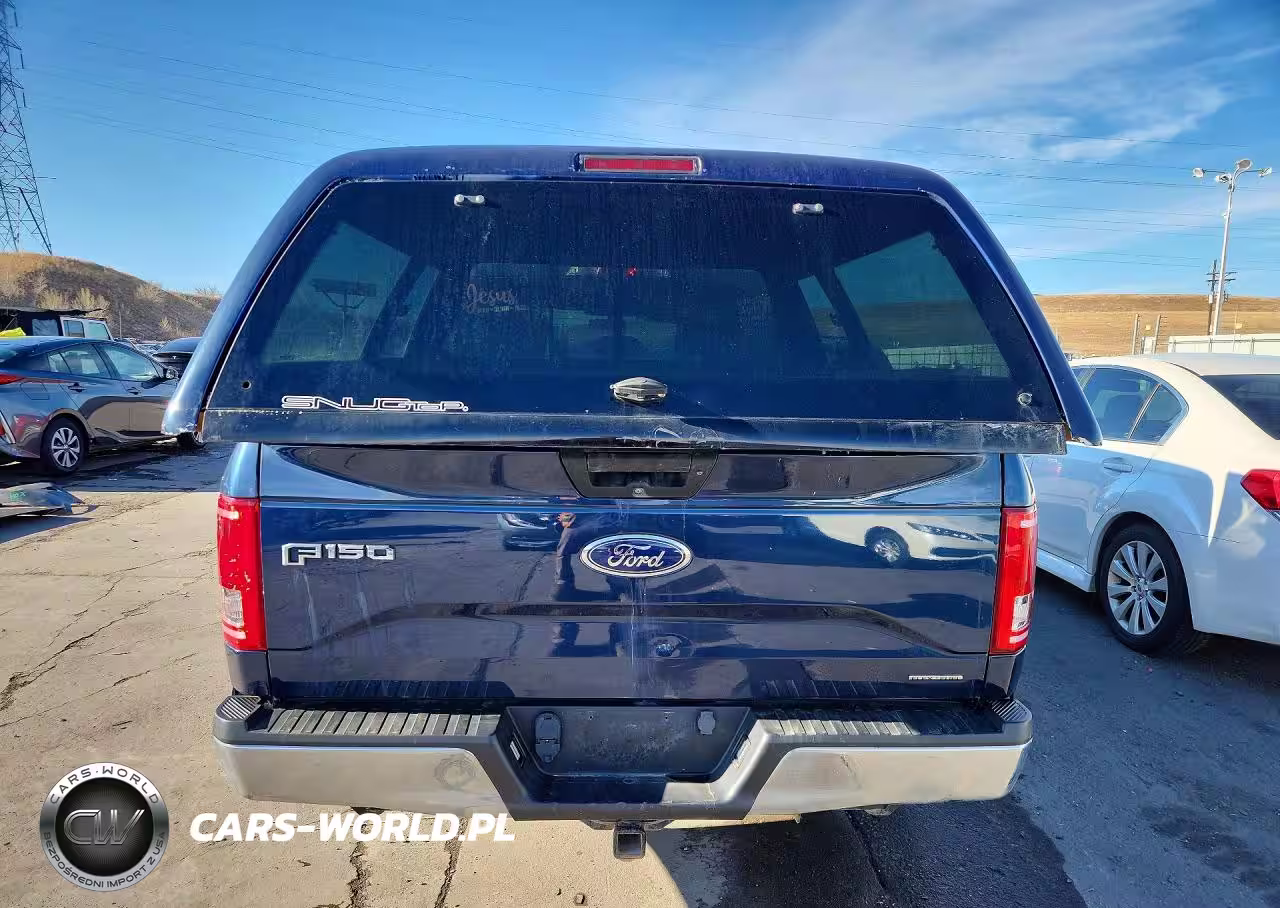 2016 Ford F150 Supercrew VIN:1FTEW1C89GFA74262 - 6