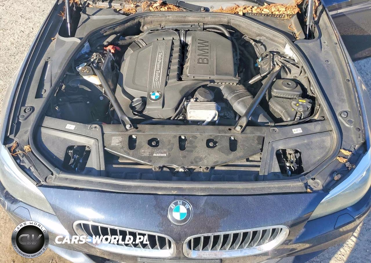 2015 BMW 5 Series VIN:WBA5B3C52FD545768 - 11