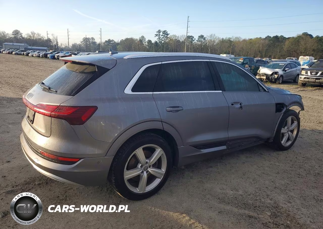 2019 Audi E-Tron Prestige VIN:WA1VAAGE6KB015517 - 3