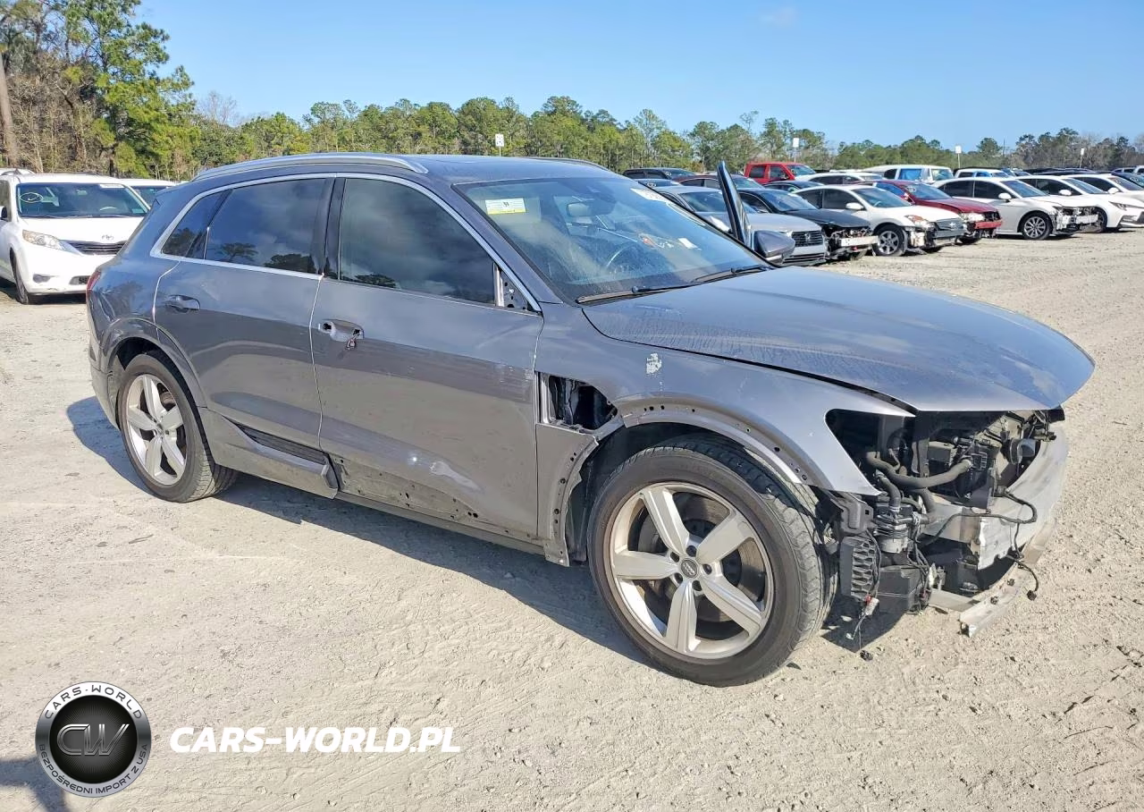 2019 Audi E-Tron Prestige VIN:WA1VAAGE6KB015517 - 4