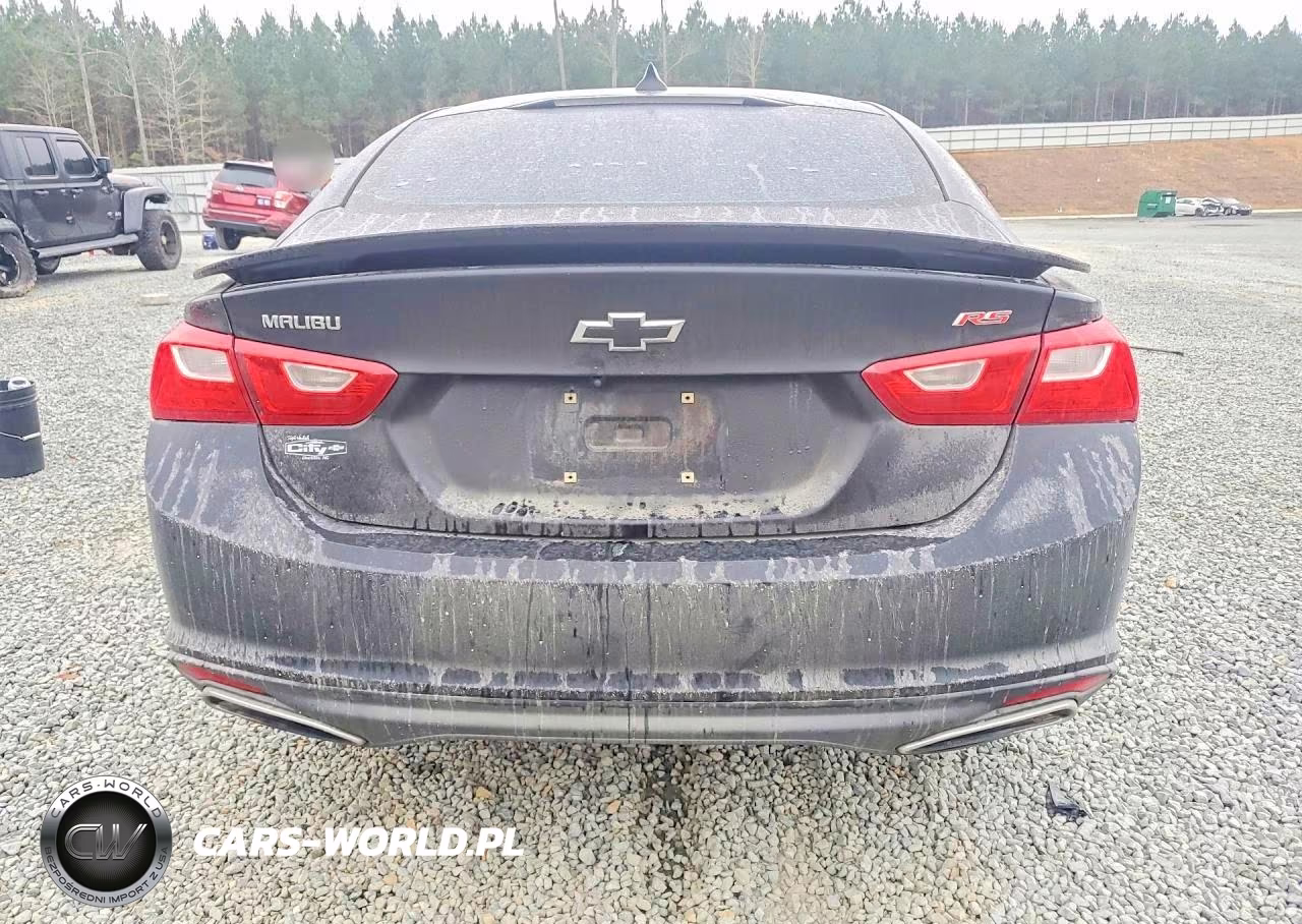 2019 Chevrolet Malibu Rs VIN:1G1ZG5ST9KF187089 - 6