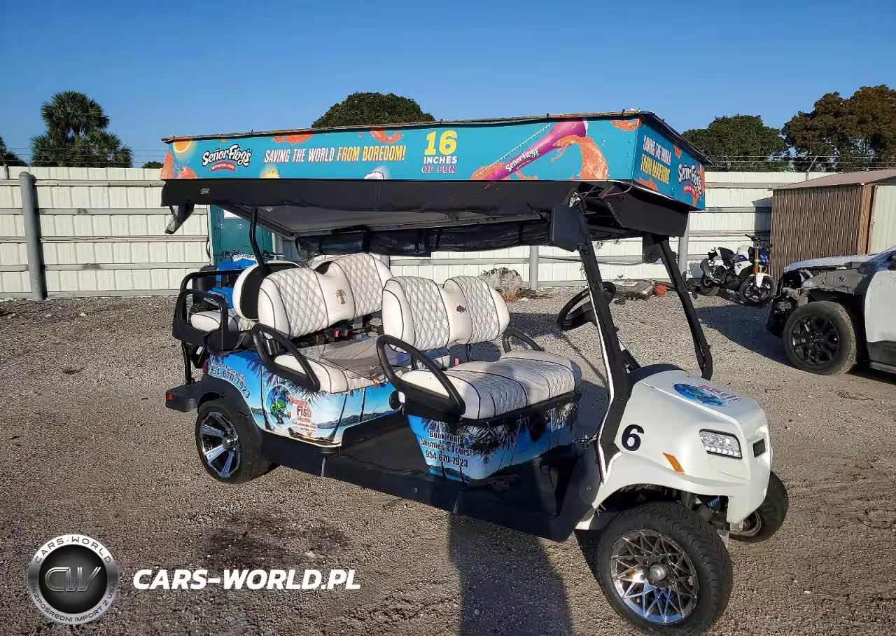 2022 Golf Cart Golf Cart
