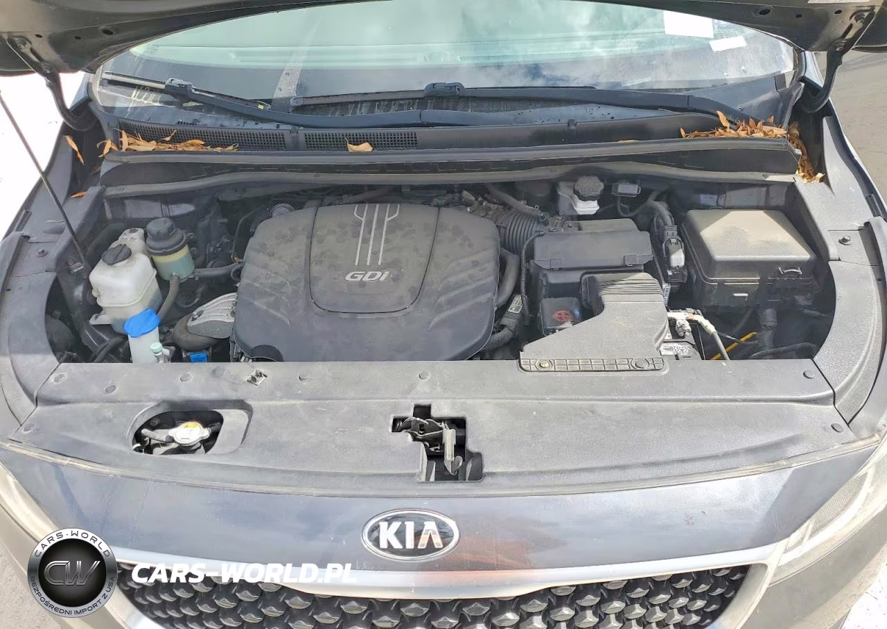 2016 Kia Sedona Lx VIN:KNDMB5C11G6155886 - 12