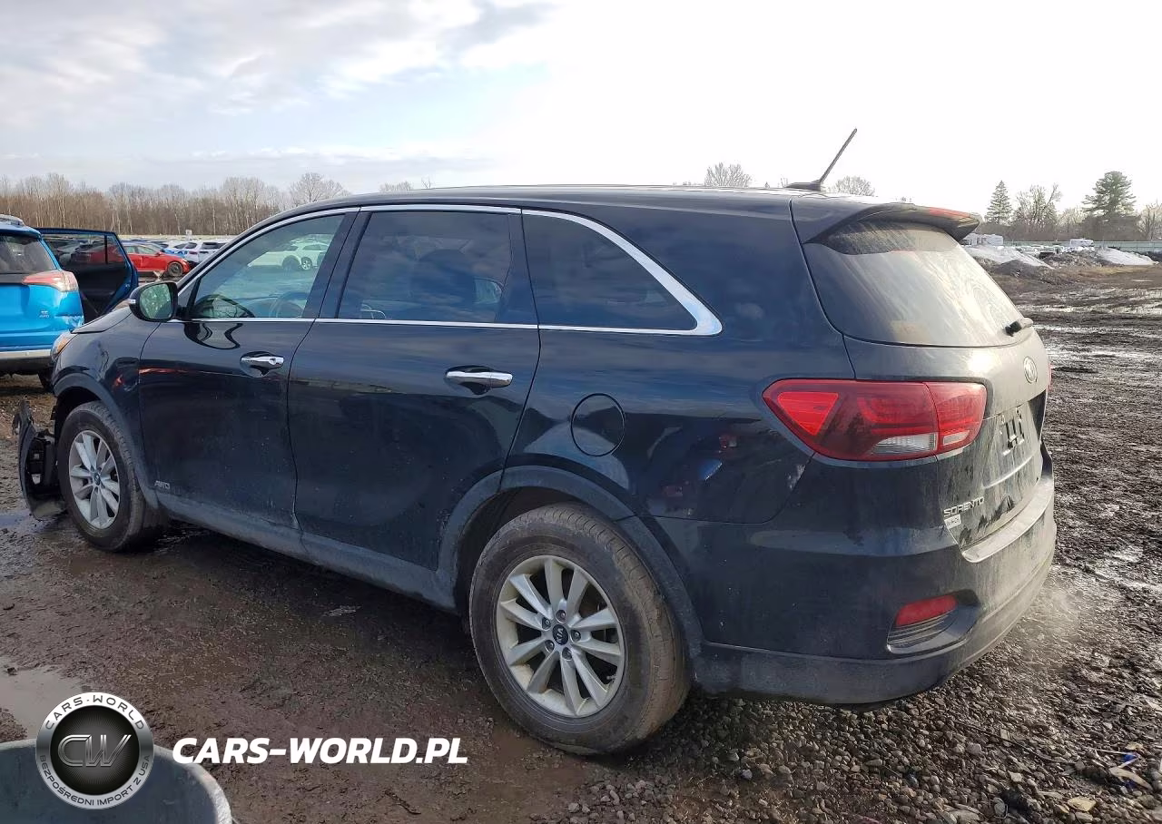 2019 Kia Sorento Lx VIN:5XYPGDA37KG474597 - 2
