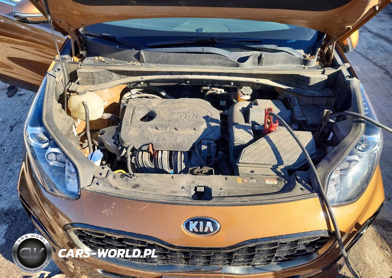 2020 Kia Sportage S VIN:KNDP63AC7L7652018 - 12
