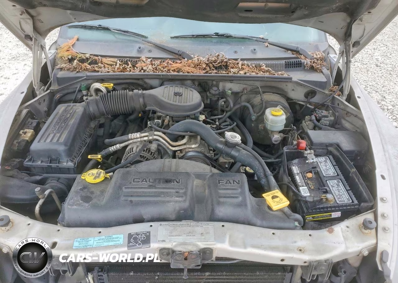 2000 Dodge Dakota VIN:1B7GL22X4YS553407 - 11