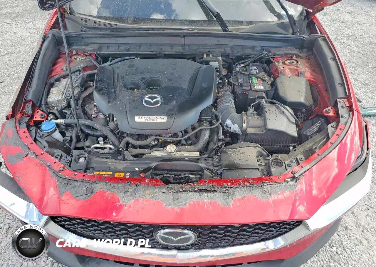2021 Mazda Cx-30 Premium VIN:3MVDMBDY4MM268553 - 12