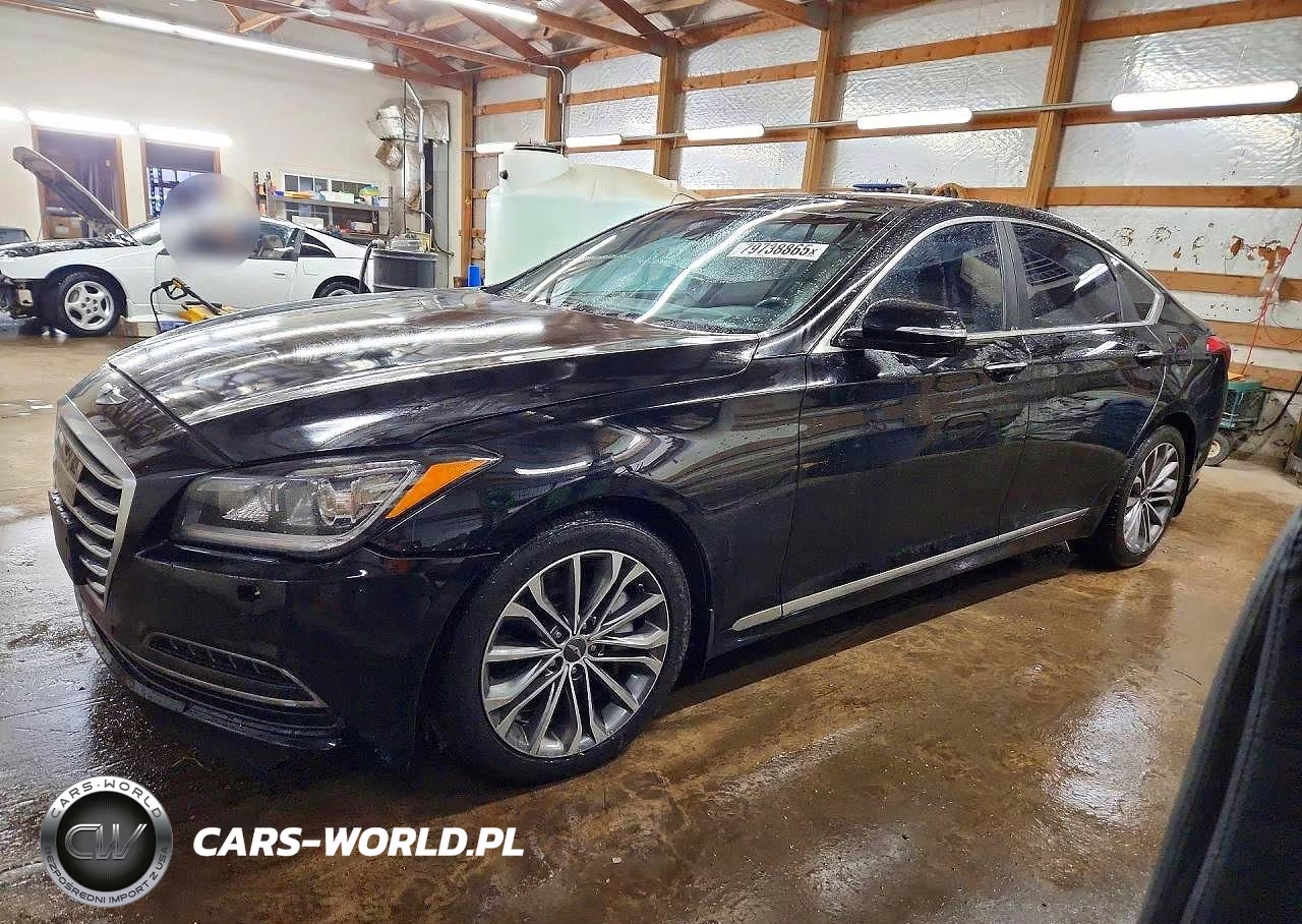 2015 Hyundai Genesis 3.8L VIN:KMHGN4JE3FU086449 - 1