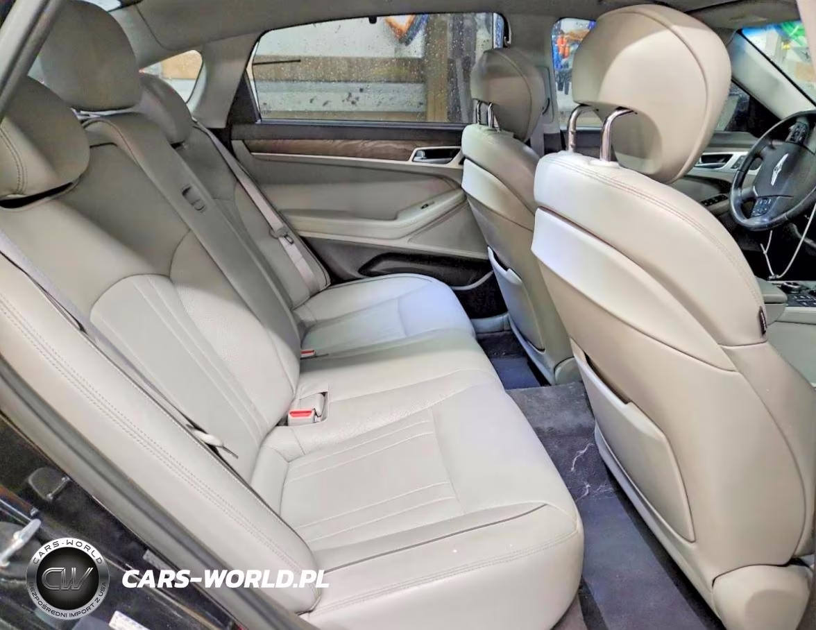 2015 Hyundai Genesis 3.8L VIN:KMHGN4JE3FU086449 - 10