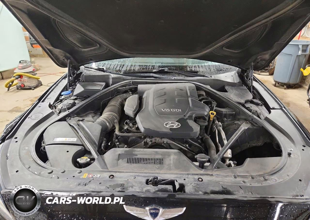 2015 Hyundai Genesis 3.8L VIN:KMHGN4JE3FU086449 - 11