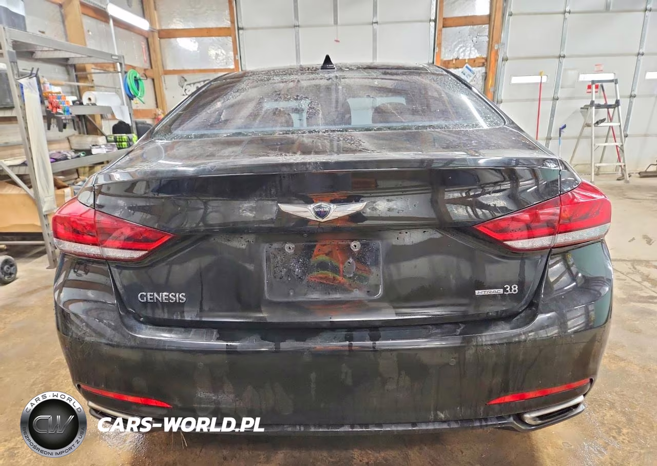 2015 Hyundai Genesis 3.8L VIN:KMHGN4JE3FU086449 - 6