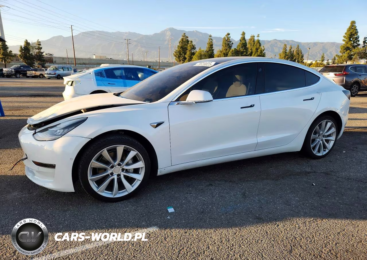 2019 Tesla 3