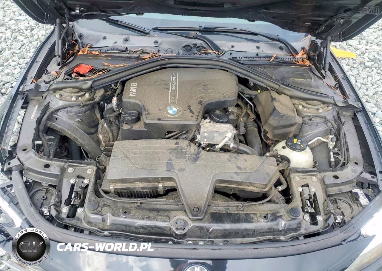 2016 BMW 320 I VIN:WBA8E1G55GNU10685 - 11