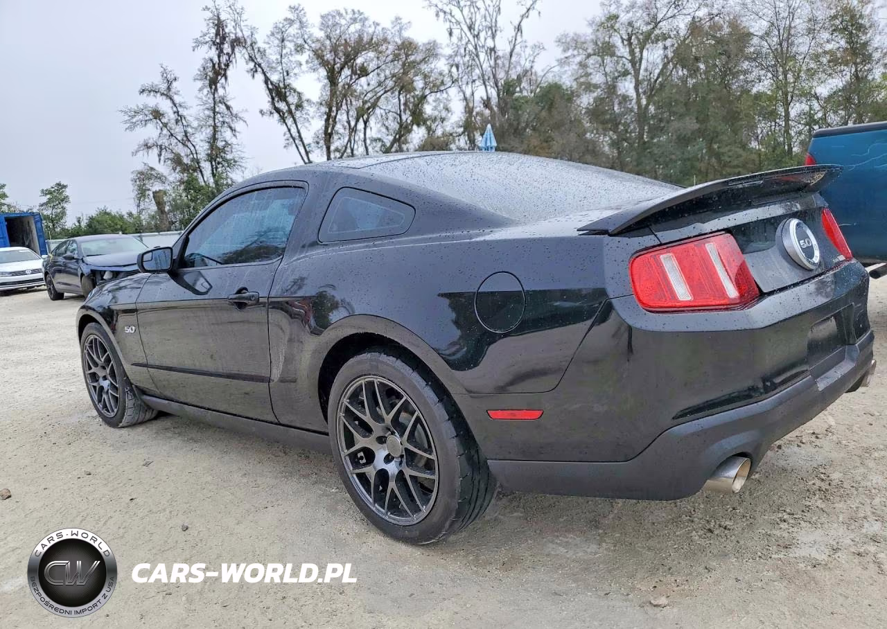 2011 Ford Mustang Gt VIN:1ZVBP8CF2B5138547 - 2