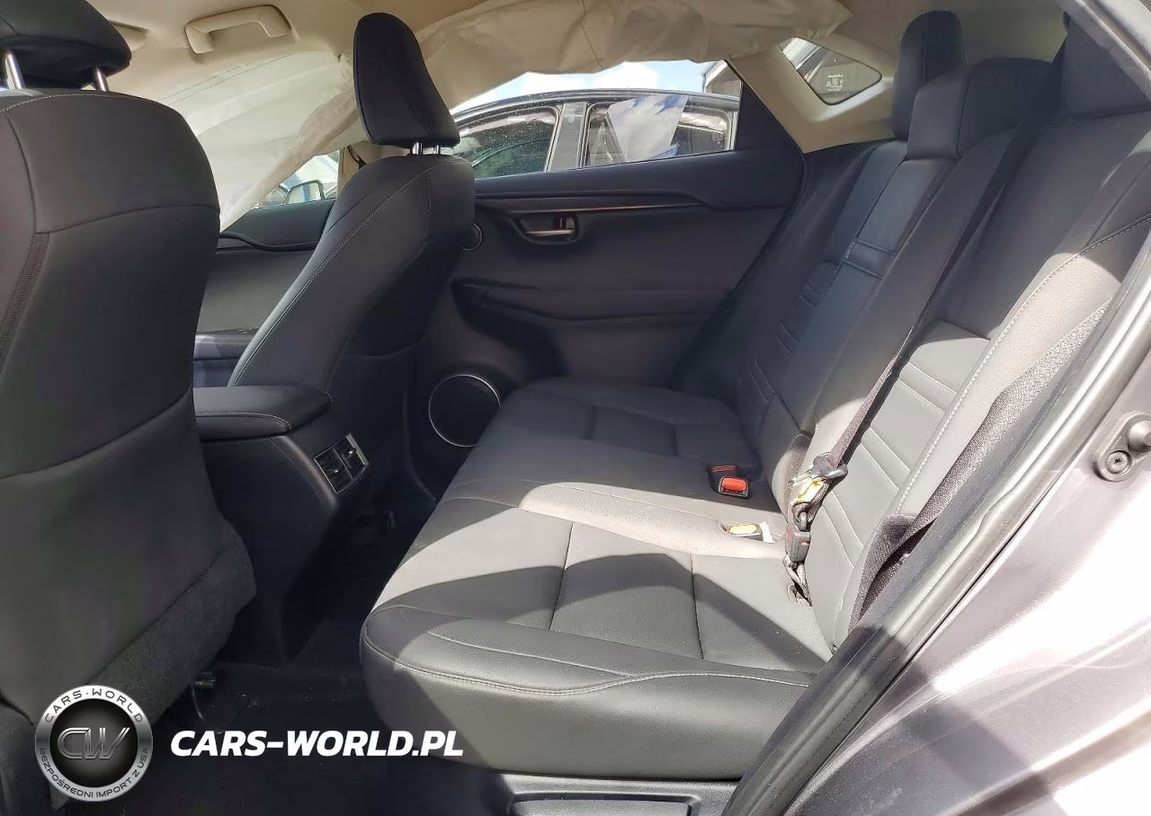 2020 Lexus Nx 300 Base VIN:JTJAARBZ5L5004437 - 11