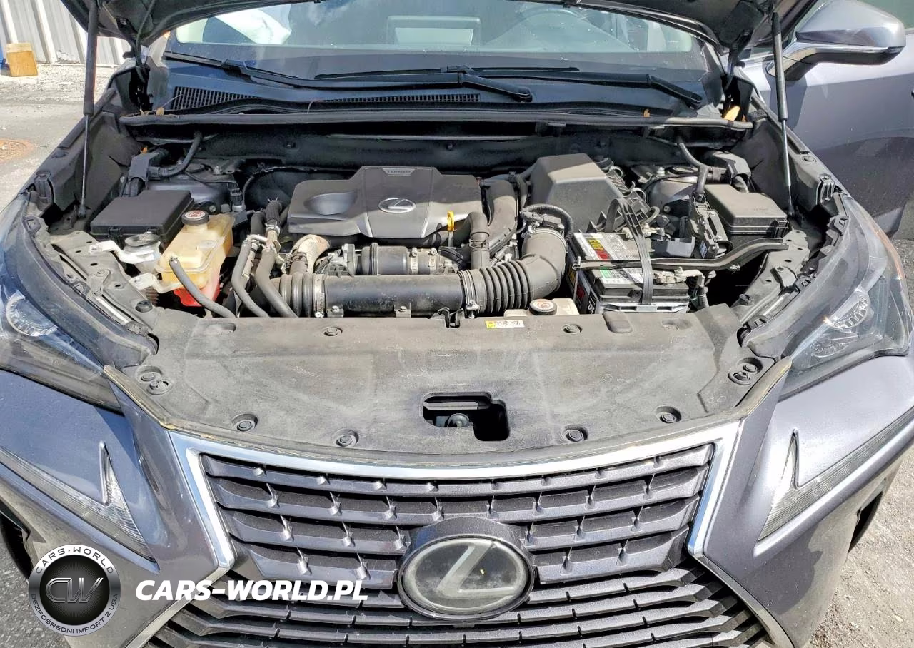 2020 Lexus Nx 300 Base VIN:JTJAARBZ5L5004437 - 12