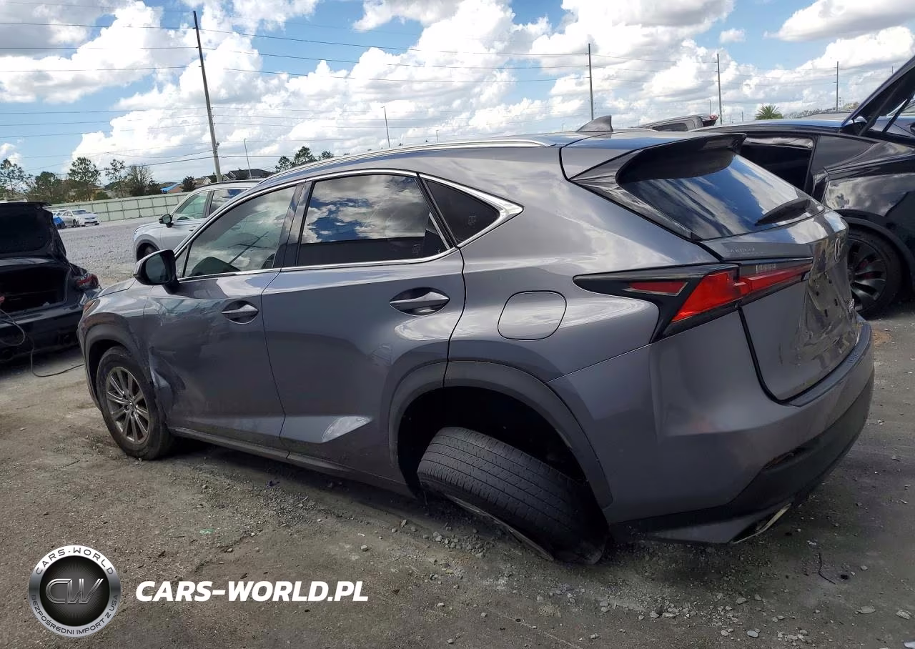 2020 Lexus Nx 300 Base VIN:JTJAARBZ5L5004437 - 2