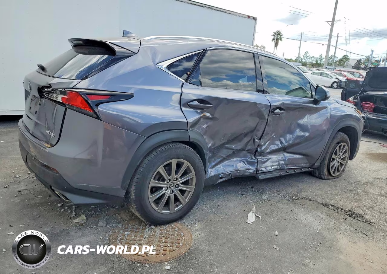 2020 Lexus Nx 300 Base VIN:JTJAARBZ5L5004437 - 3