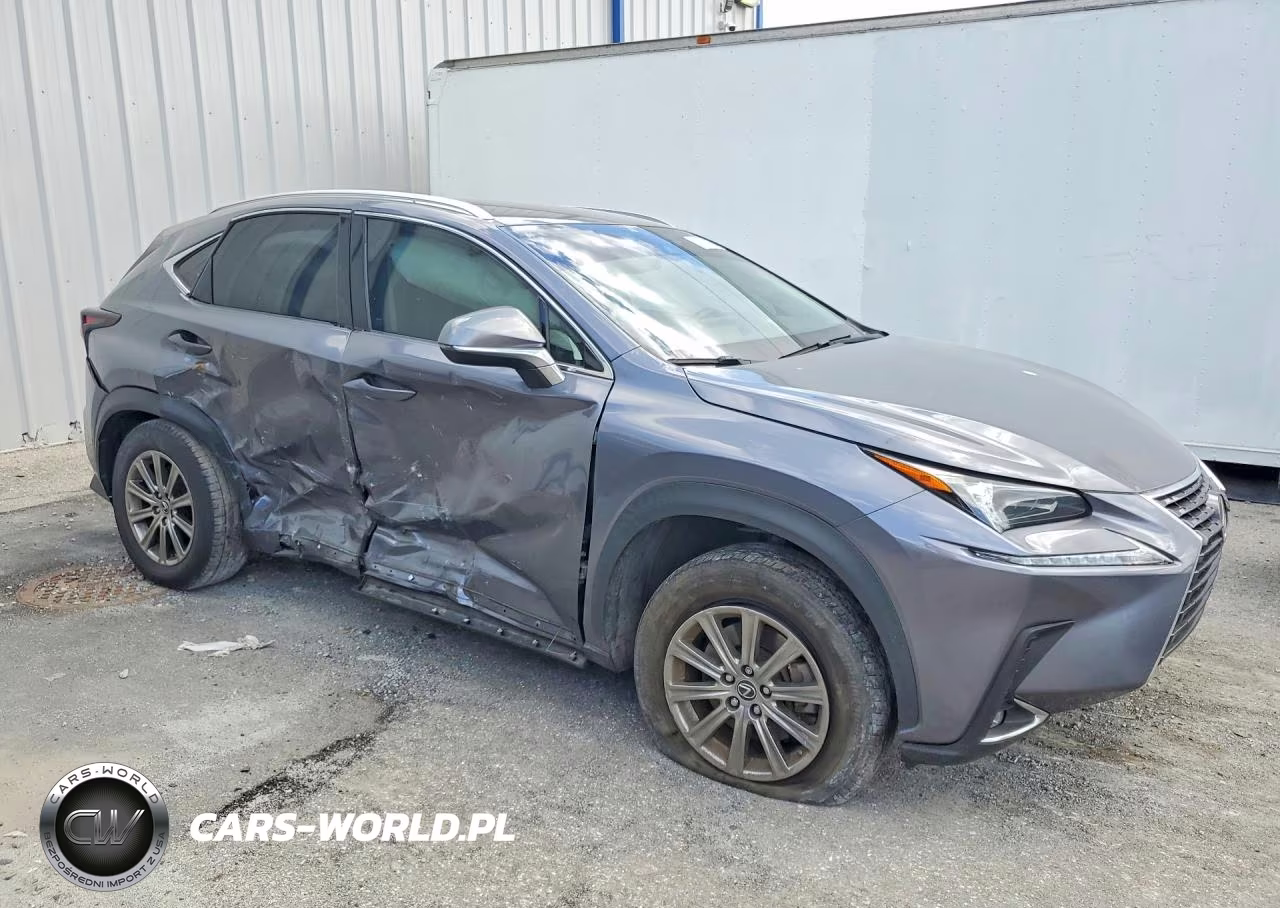2020 Lexus Nx 300 Base VIN:JTJAARBZ5L5004437 - 4