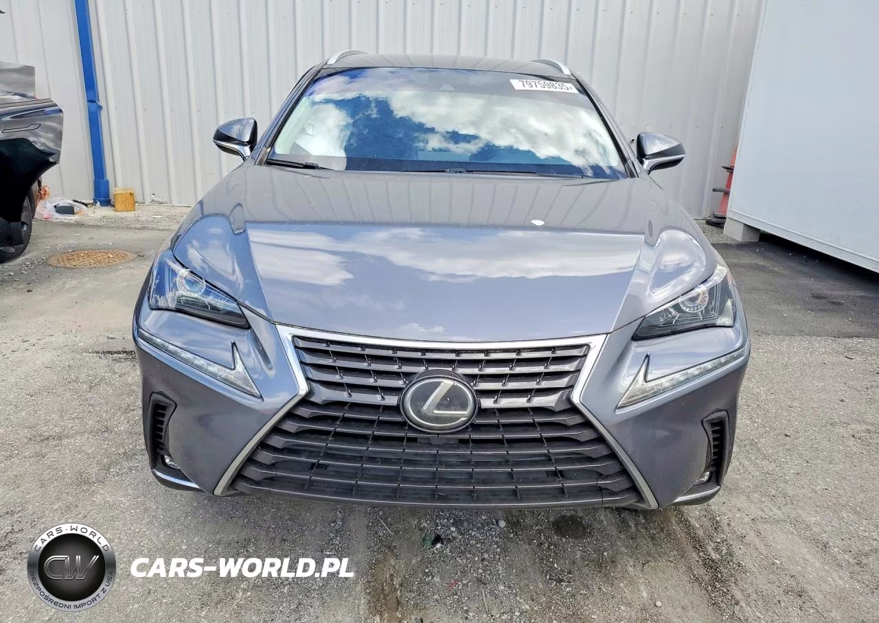 2020 Lexus Nx 300 Base VIN:JTJAARBZ5L5004437 - 5