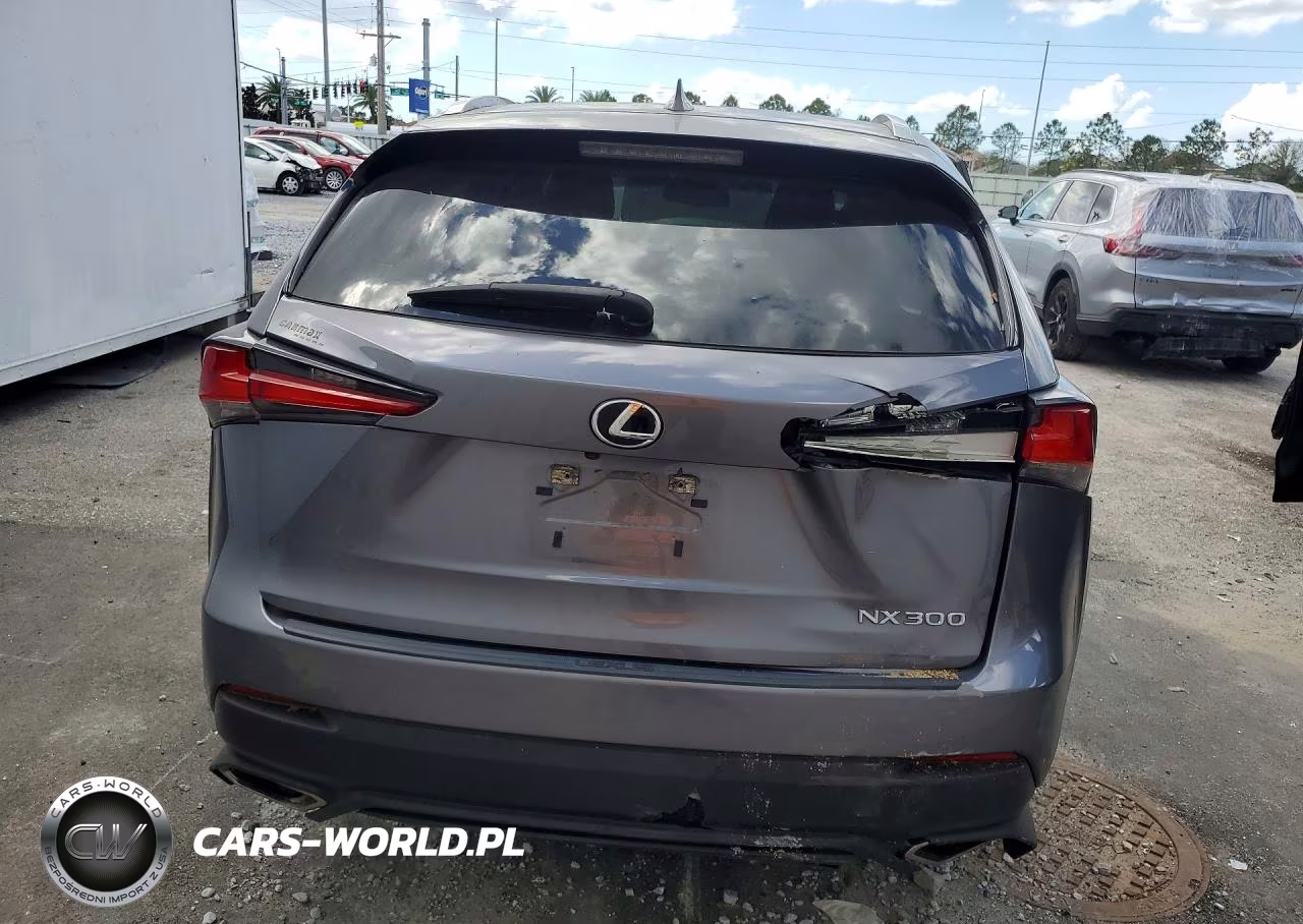 2020 Lexus Nx 300 Base VIN:JTJAARBZ5L5004437 - 6