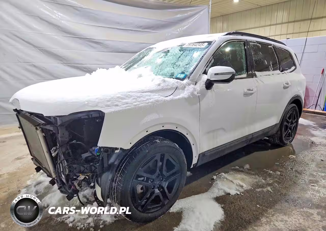 2025 Kia Telluride Sx-Prestige X-Line