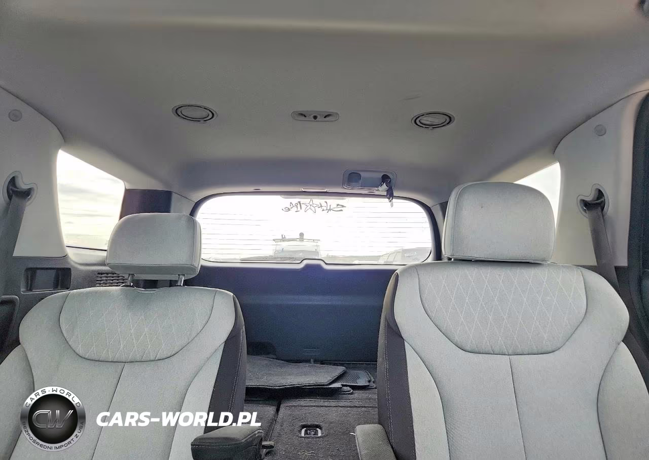 2020 Hyundai Palisade Sel VIN:KM8R34HE6LU162312 - 10