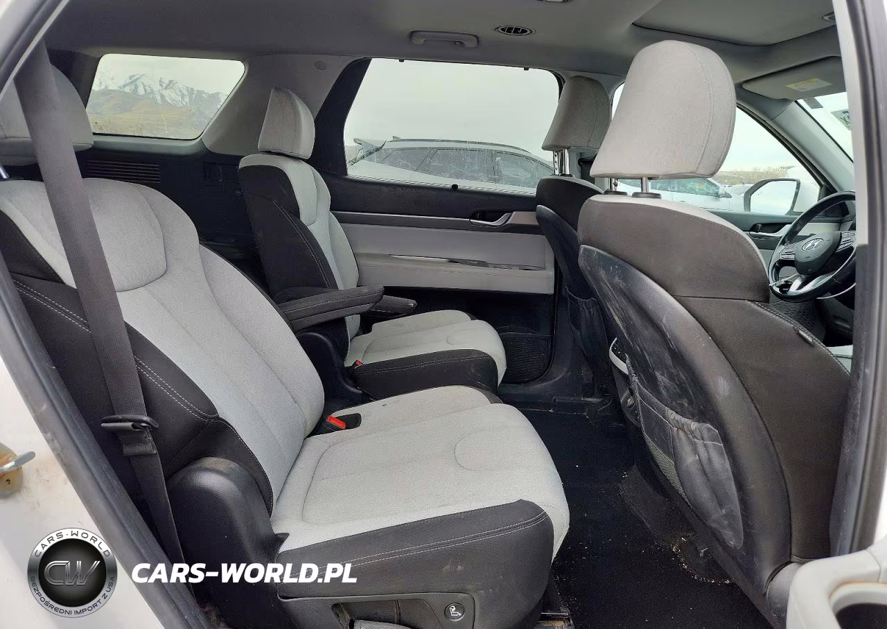 2020 Hyundai Palisade Sel VIN:KM8R34HE6LU162312 - 11