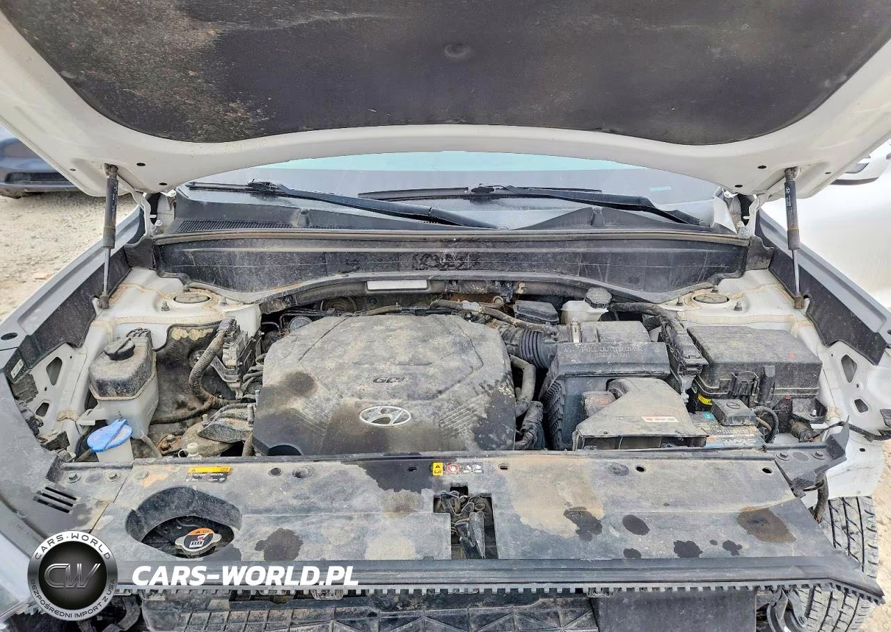 2020 Hyundai Palisade Sel VIN:KM8R34HE6LU162312 - 12