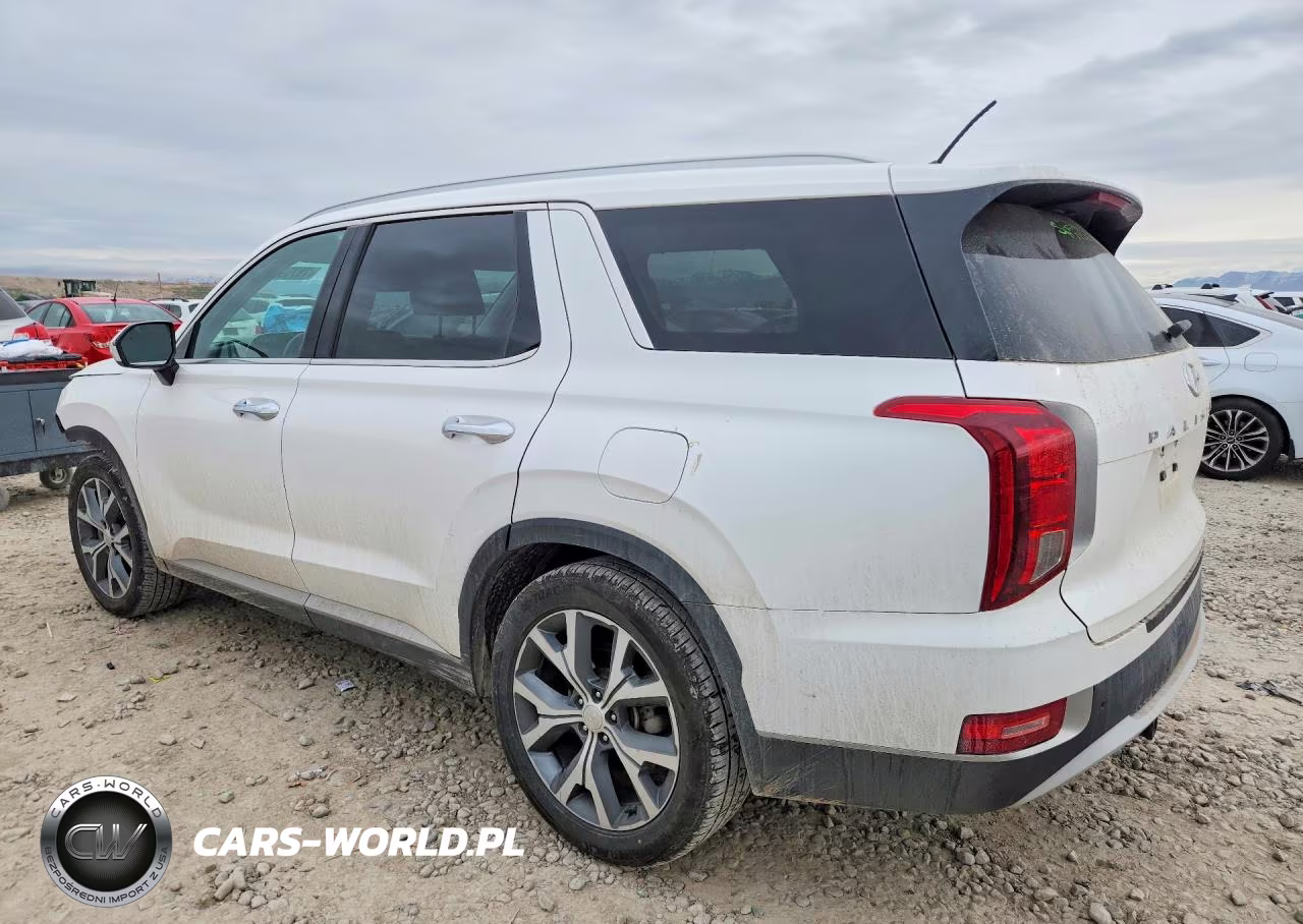 2020 Hyundai Palisade Sel VIN:KM8R34HE6LU162312 - 2
