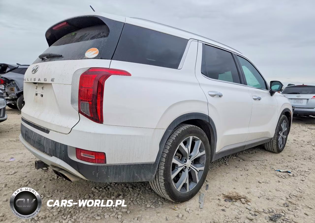 2020 Hyundai Palisade Sel VIN:KM8R34HE6LU162312 - 3