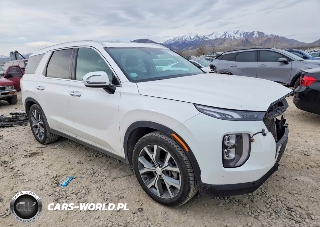 2020 Hyundai Palisade Sel VIN:KM8R34HE6LU162312 - 4