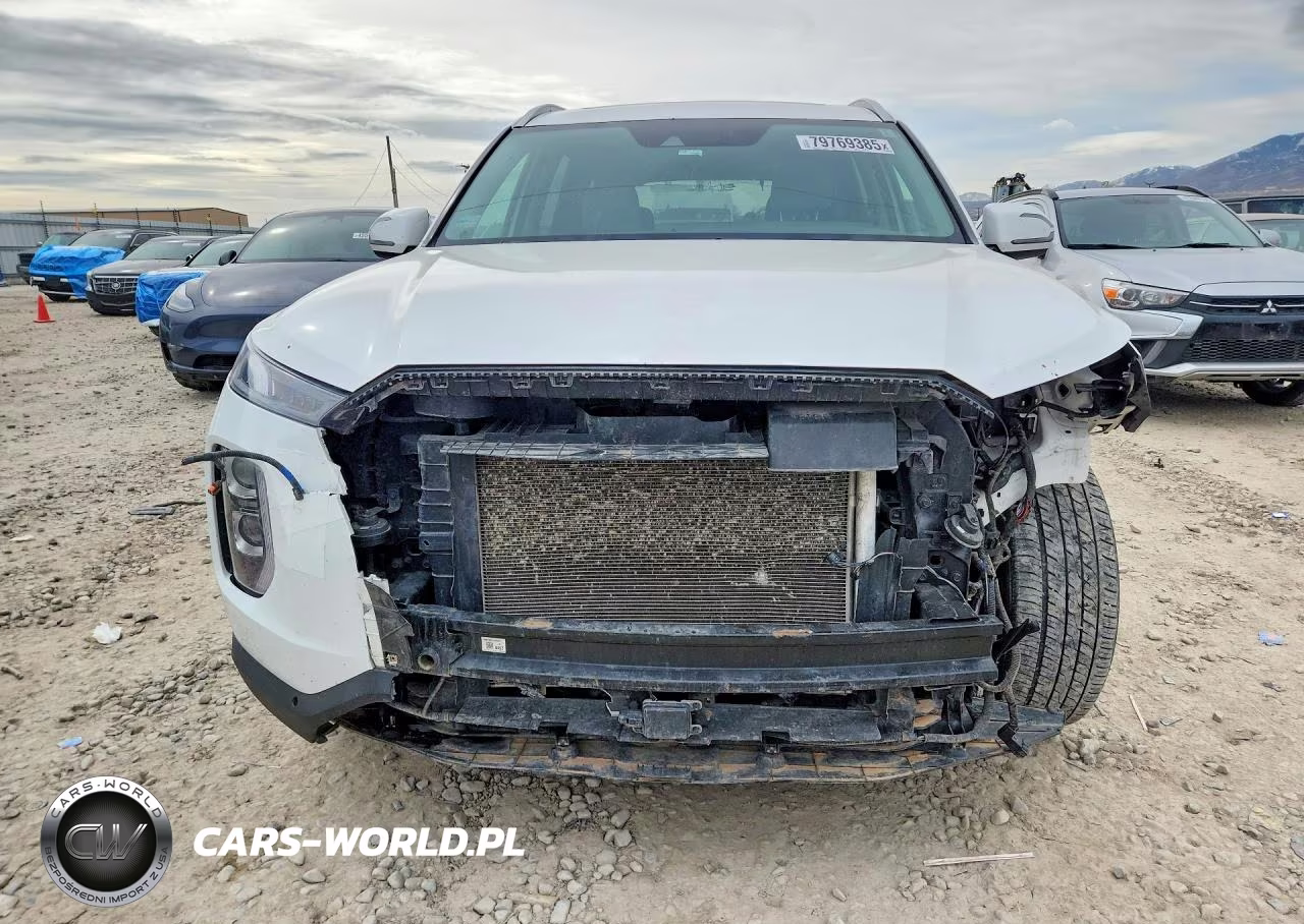 2020 Hyundai Palisade Sel VIN:KM8R34HE6LU162312 - 5