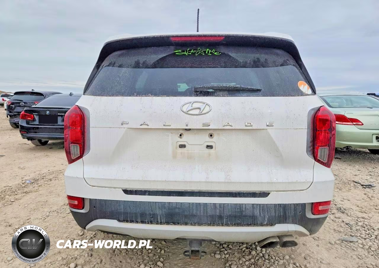2020 Hyundai Palisade Sel VIN:KM8R34HE6LU162312 - 6