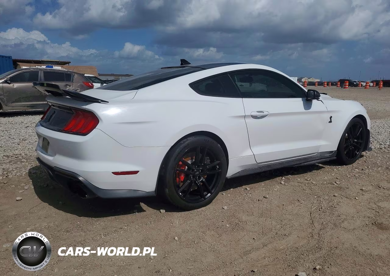 2020 Ford Mustang Shelby Gt500 VIN:1FA6P8SJ8L5505548 - 3