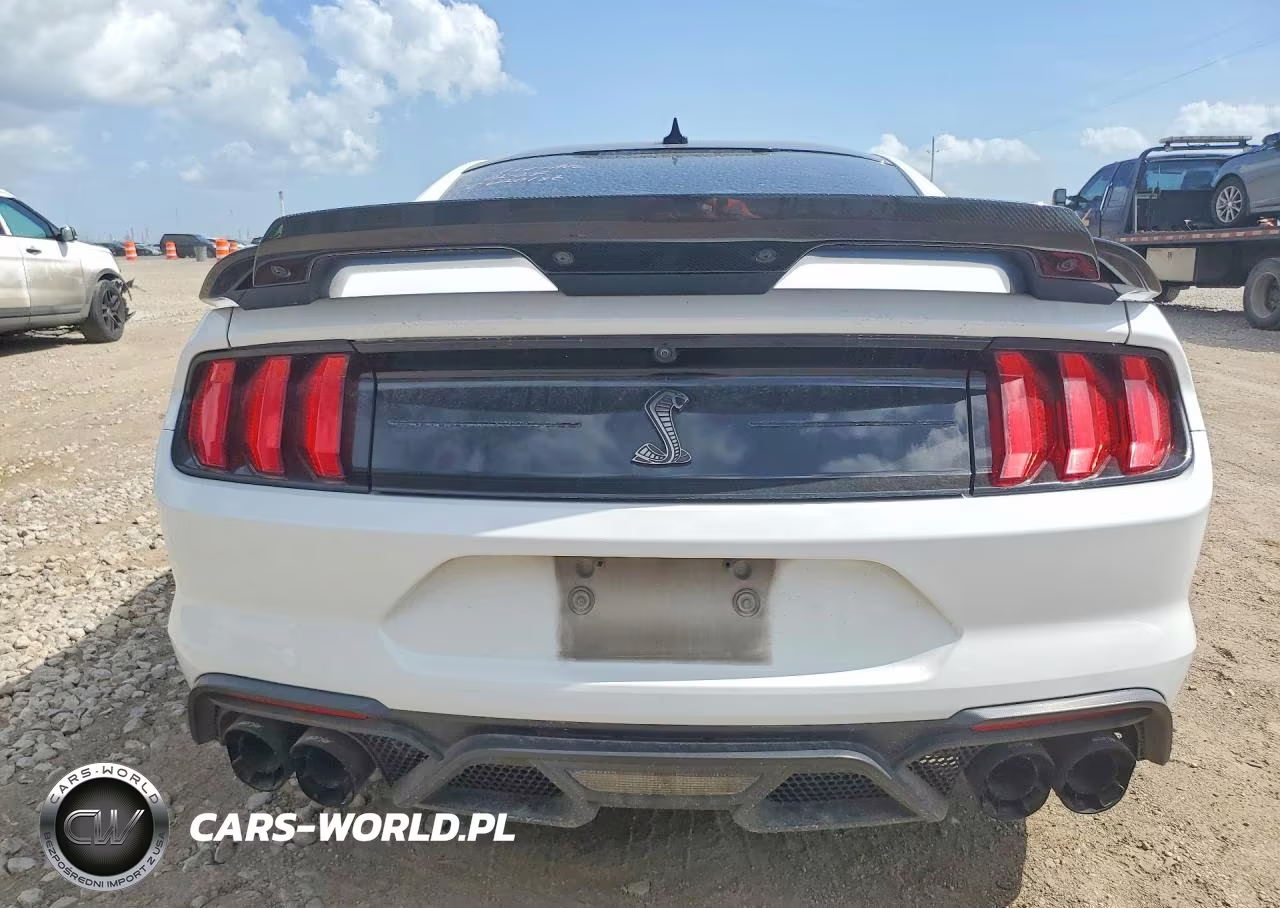 2020 Ford Mustang Shelby Gt500 VIN:1FA6P8SJ8L5505548 - 6