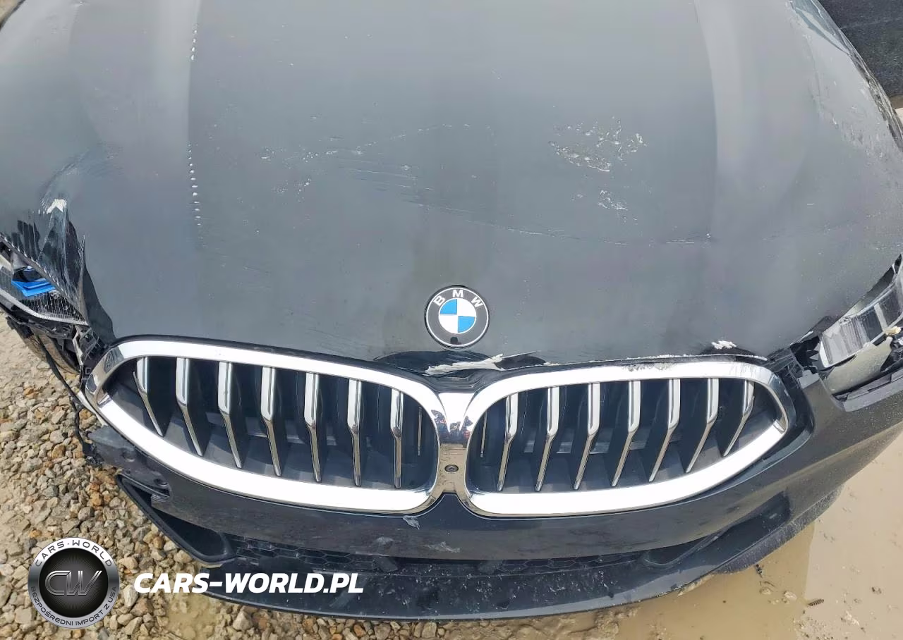 2020 BMW M850Xi VIN:WBAGV8C08LCE44966 - 11