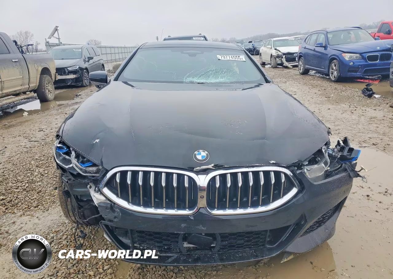 2020 BMW M850Xi VIN:WBAGV8C08LCE44966 - 5