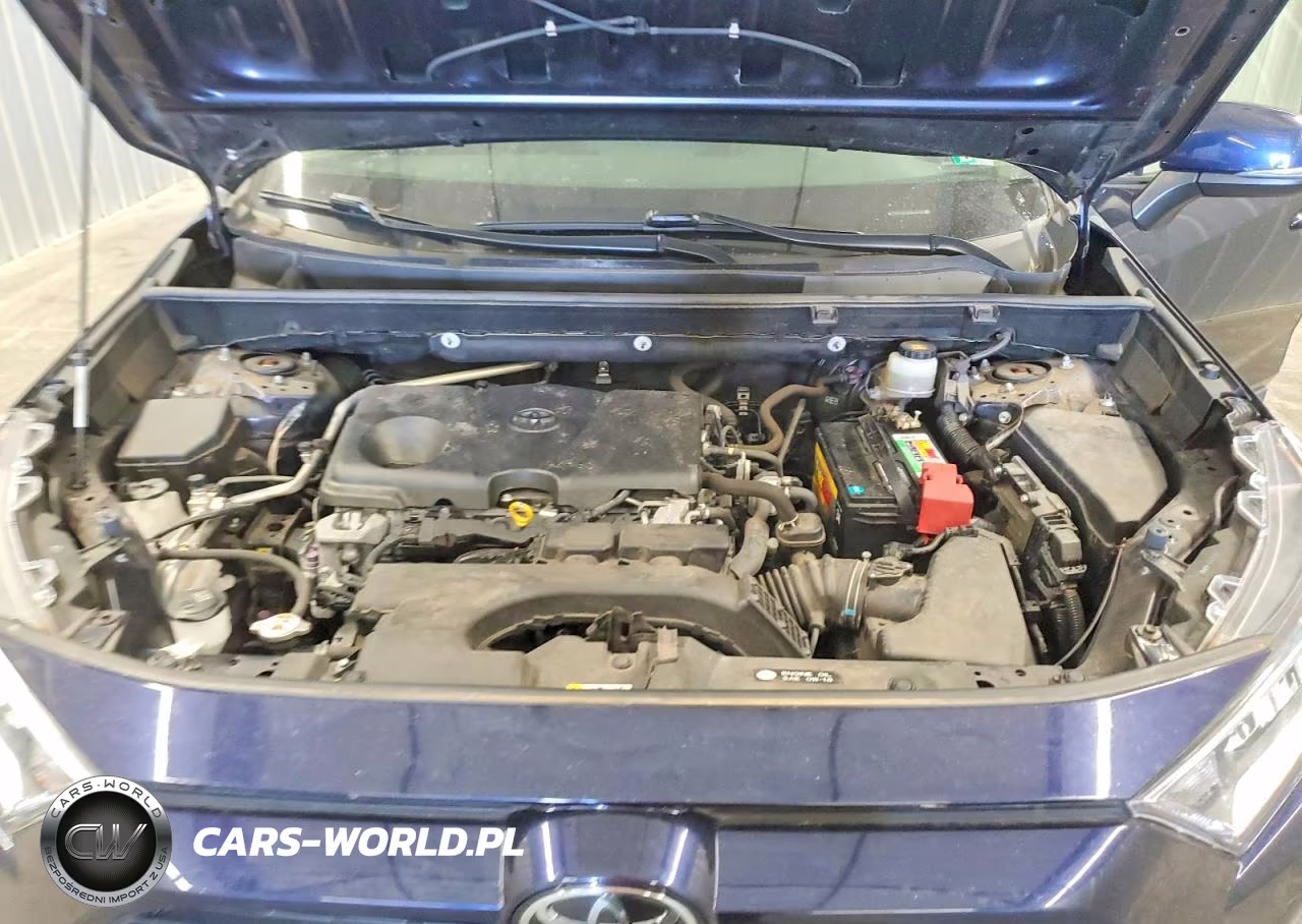2019 Toyota Rav4 Xle VIN:JTMP1RFV8KD506948 - 12