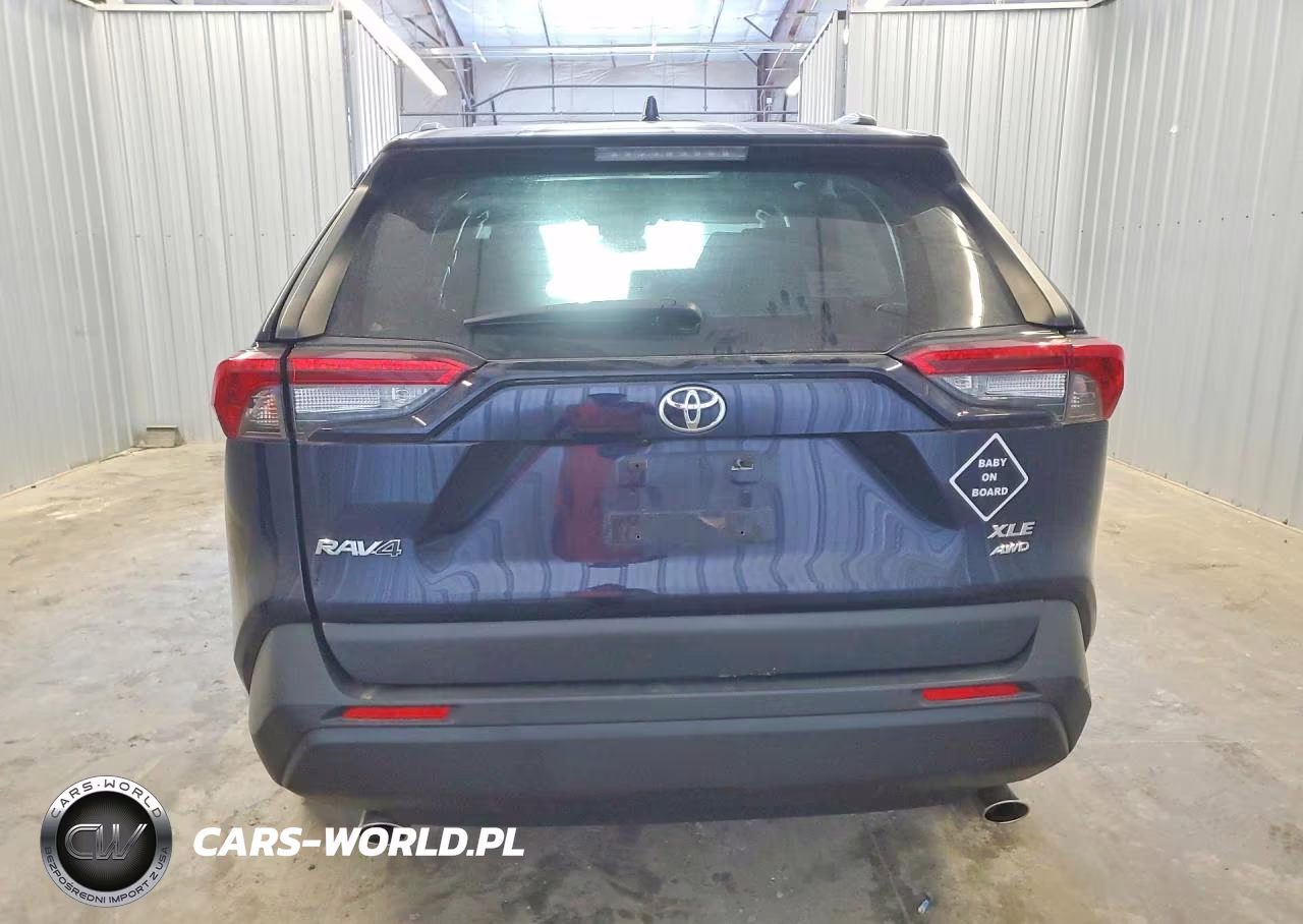2019 Toyota Rav4 Xle VIN:JTMP1RFV8KD506948 - 6