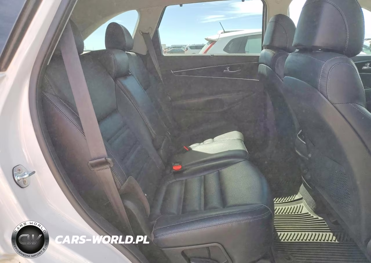 2017 Kia Sorento Ex VIN:5XYPH4A15HG250829 - 10