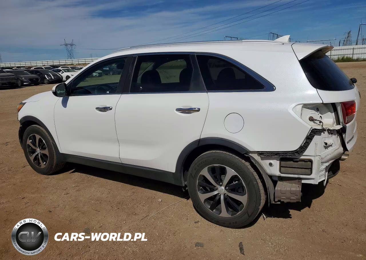 2017 Kia Sorento Ex VIN:5XYPH4A15HG250829 - 2