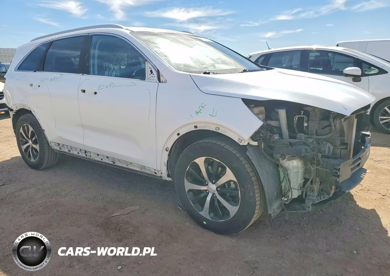 2017 Kia Sorento Ex VIN:5XYPH4A15HG250829 - 4