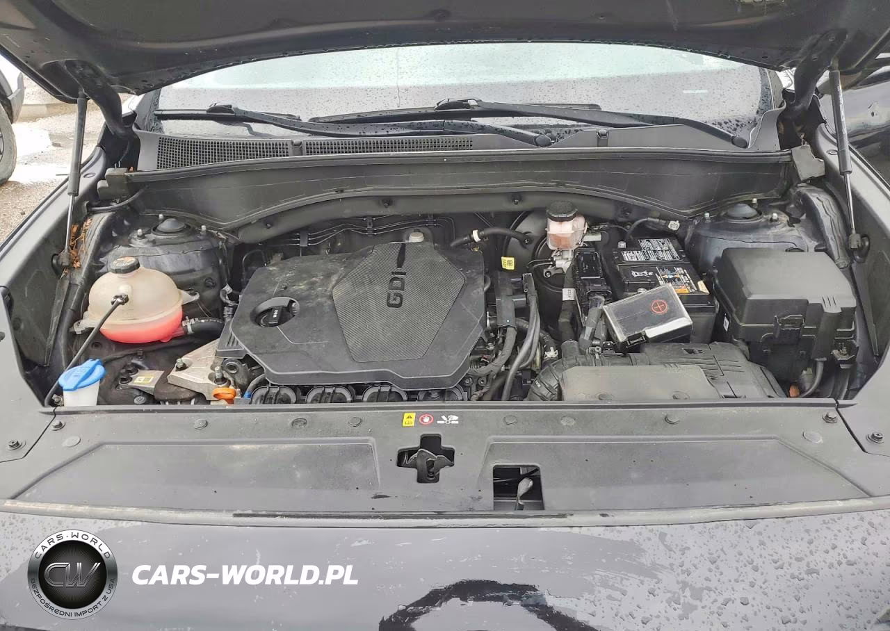 2021 Hyundai Santa Fe Sel VIN:5NMS6DAJ3MH371343 - 12