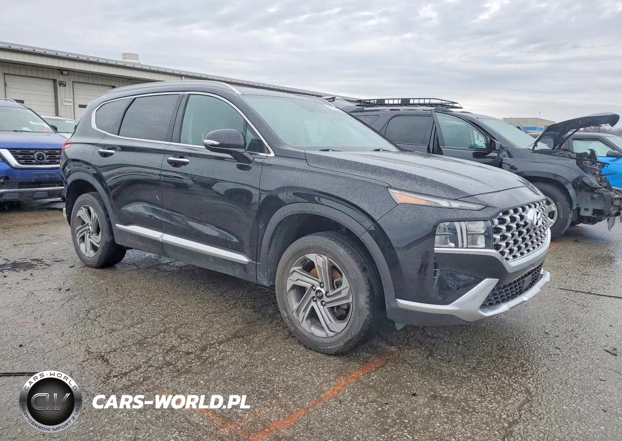 2021 Hyundai Santa Fe Sel VIN:5NMS6DAJ3MH371343 - 4