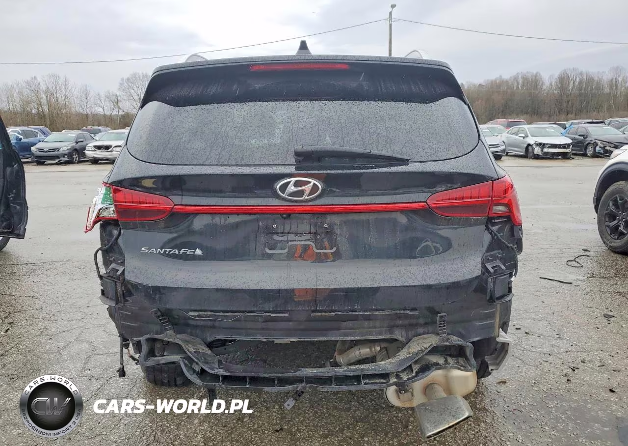 2021 Hyundai Santa Fe Sel VIN:5NMS6DAJ3MH371343 - 6