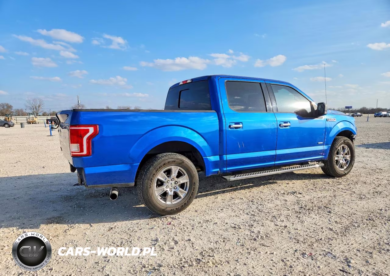 2015 Ford F150 Supercrew VIN:1FTEW1CP1FFC92833 - 3